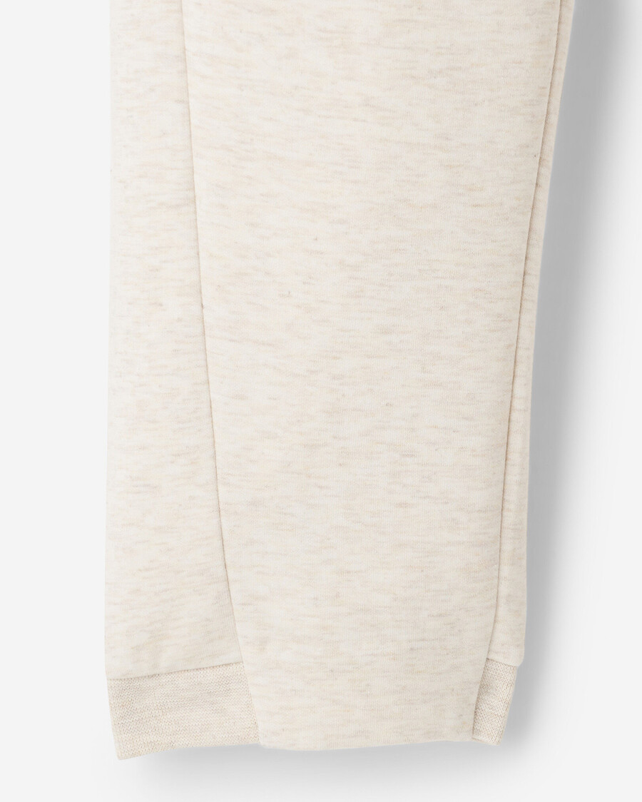 roam jogger