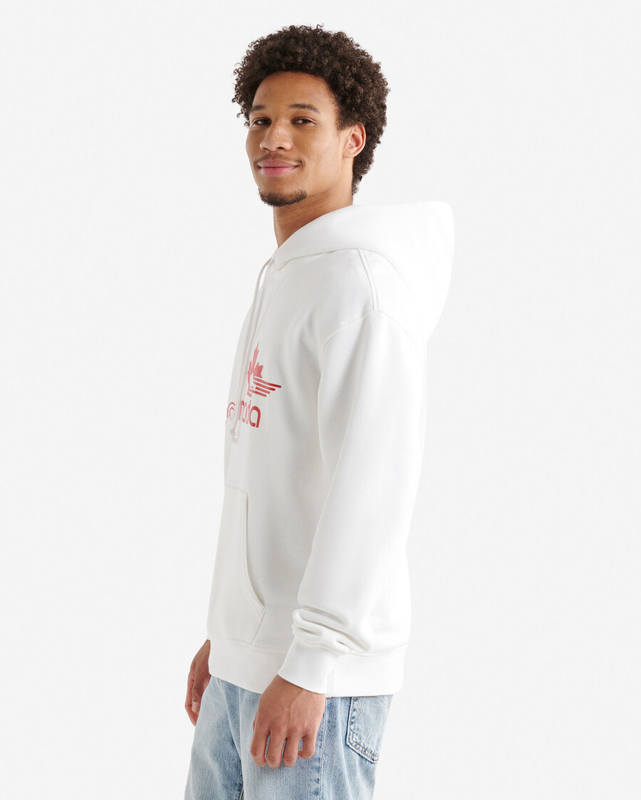 northern athletics hoodie