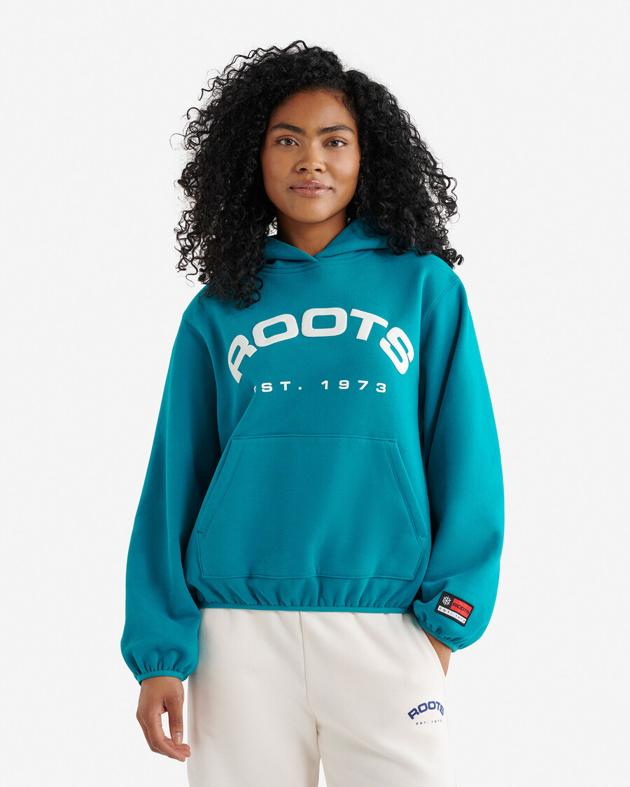 alpine goods hoodie