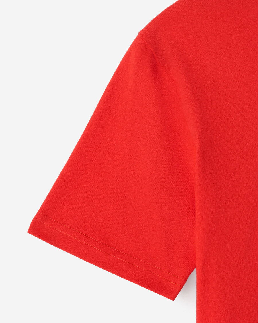 northern roots t-shirt